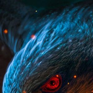 Meet your Posher, Jo-jo